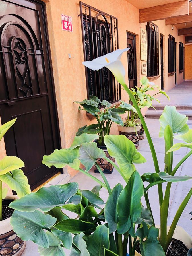 Hotel Posada San Jorge Bernal Exterior foto